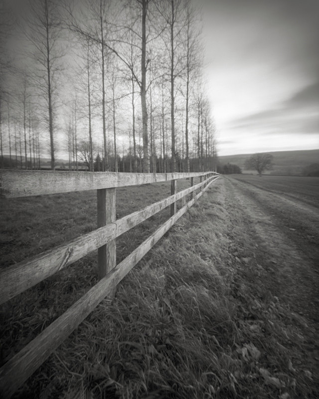 Fence Line, Wharfedale - Trees, Fields and Landscapes