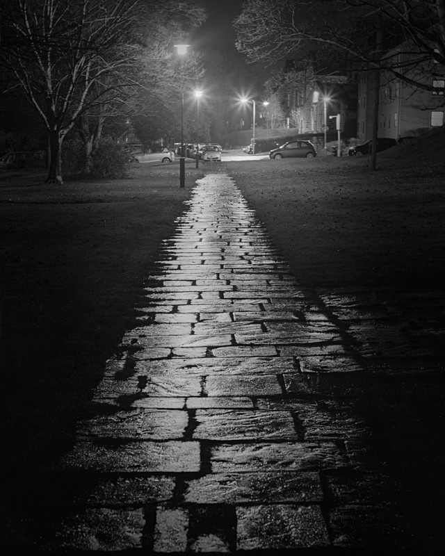 Wet Flags, Ilkley Park - Otley and Ilkley at Night