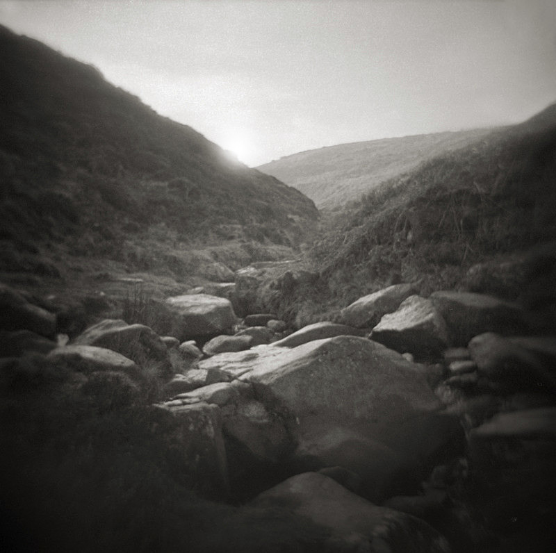Valley Light, Burley Moor - Holga 120N