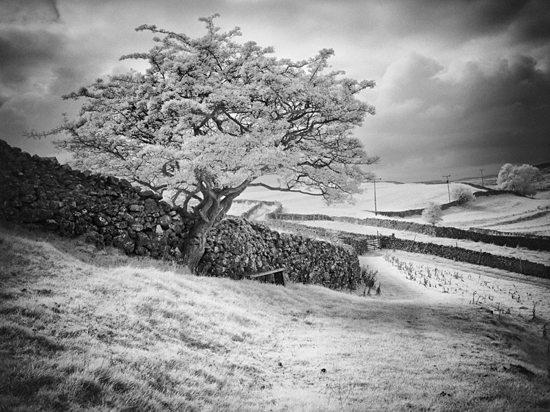 Dales Scene , Infrared - Infrared