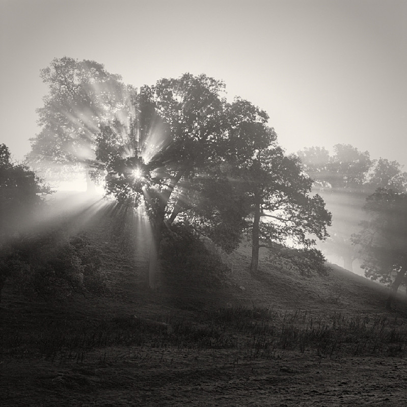 Breaking Light