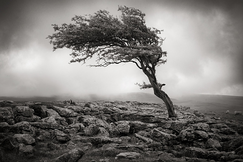 Tension - Landscapes