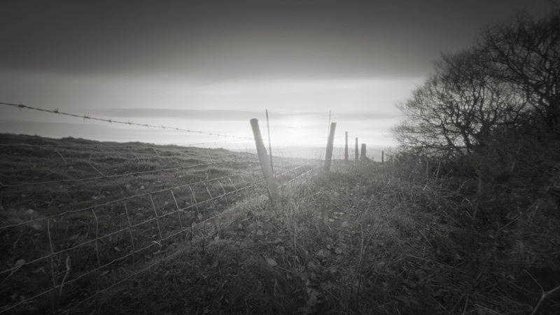 Wire Fence, Otley Chevin - Trees, Fields and Landscapes