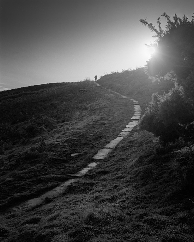 Path to Cow and Calf, Ilkley #2 - Landscapes