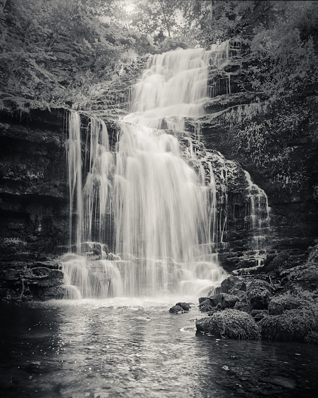 Scaleber Force - Water