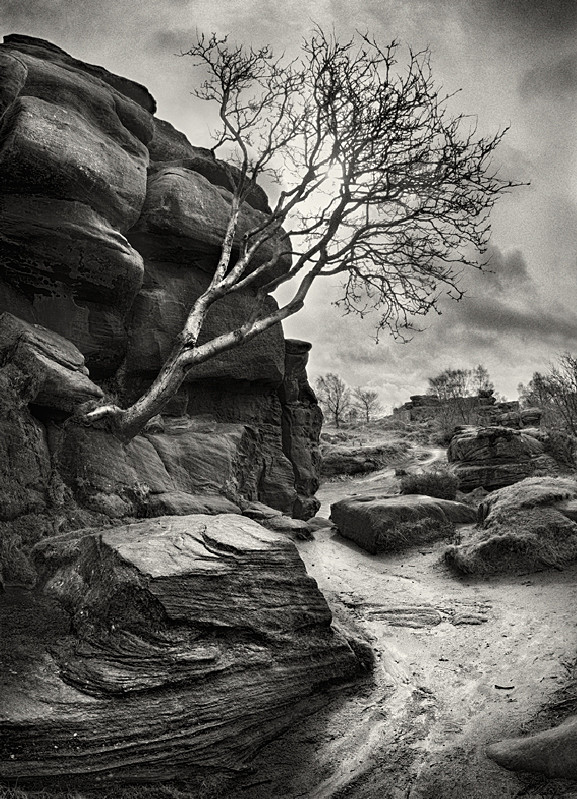 Brimham Rocks in Black and Whie