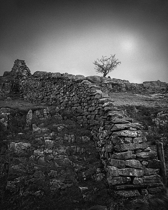 Dry Stone Wall Yorkshire Dales - Landscapes