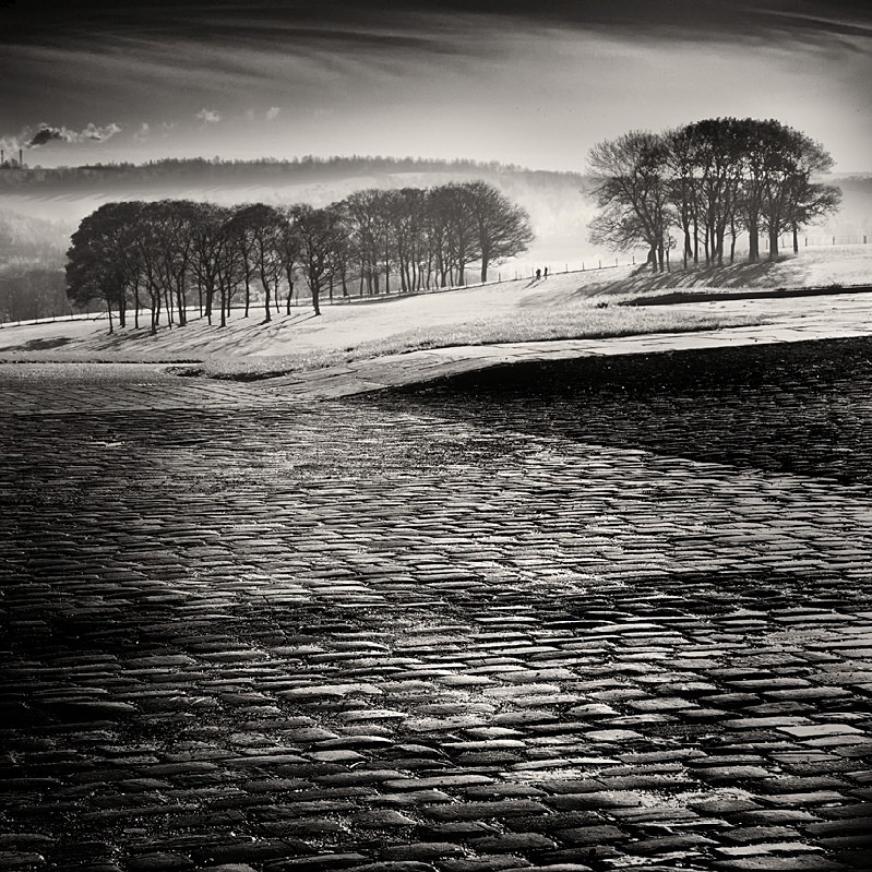 Yorkshire Cobbles and Trees