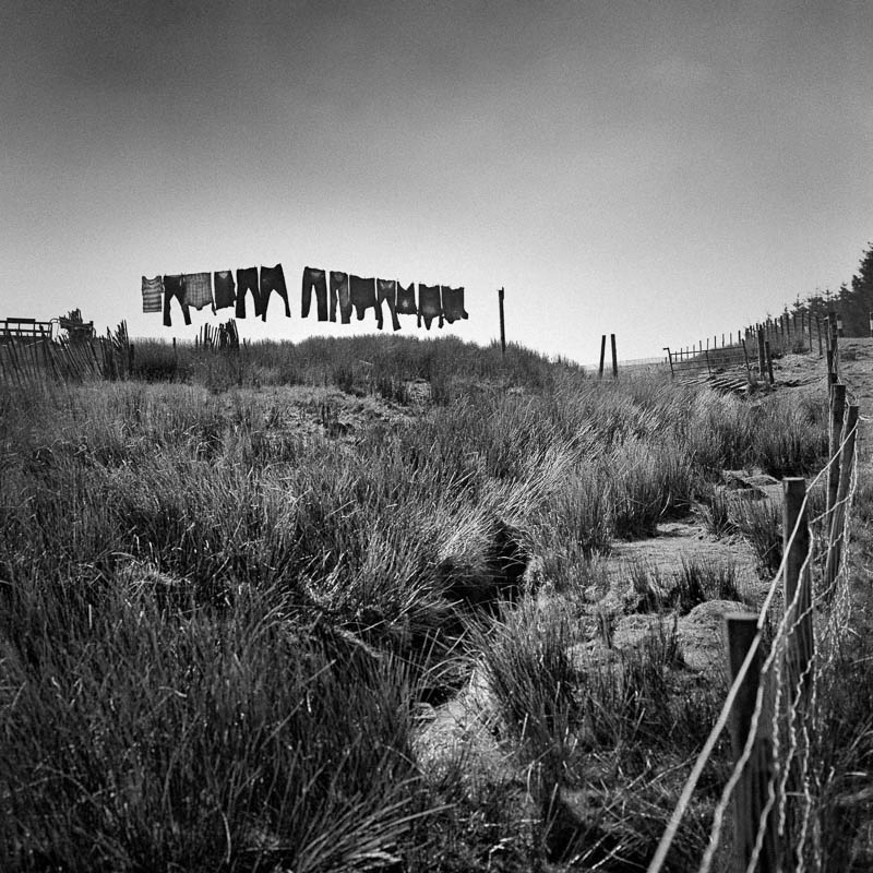 Moorland Washday (square format) - Landscapes