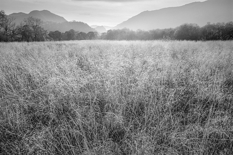 Lake District Light #4 - Landscapes