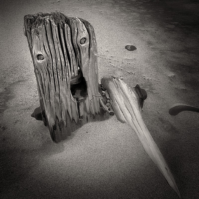 Photograph of Weathered Wood Spurn Point - Abstract & Still Life