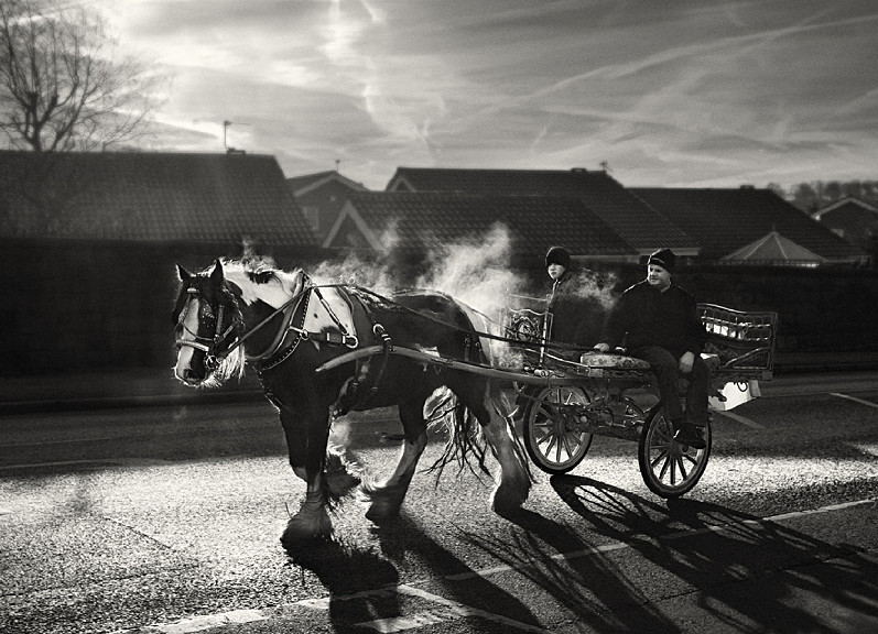 Horse and cart