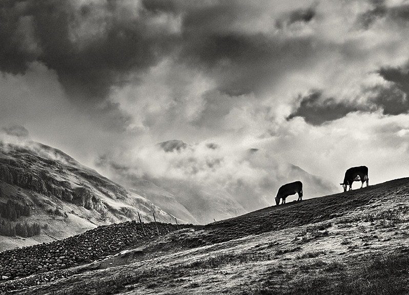 High fells Grazing