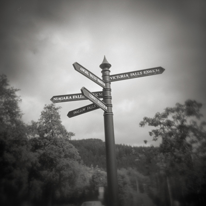 To the Falls - Holga 120N