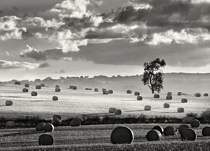 Round Straw Bails