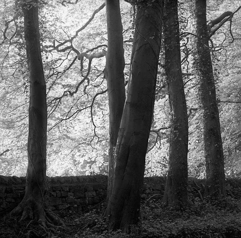 Light and Shape (square format) - Landscapes