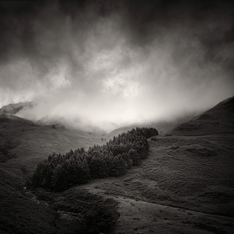 Storm Clearing
