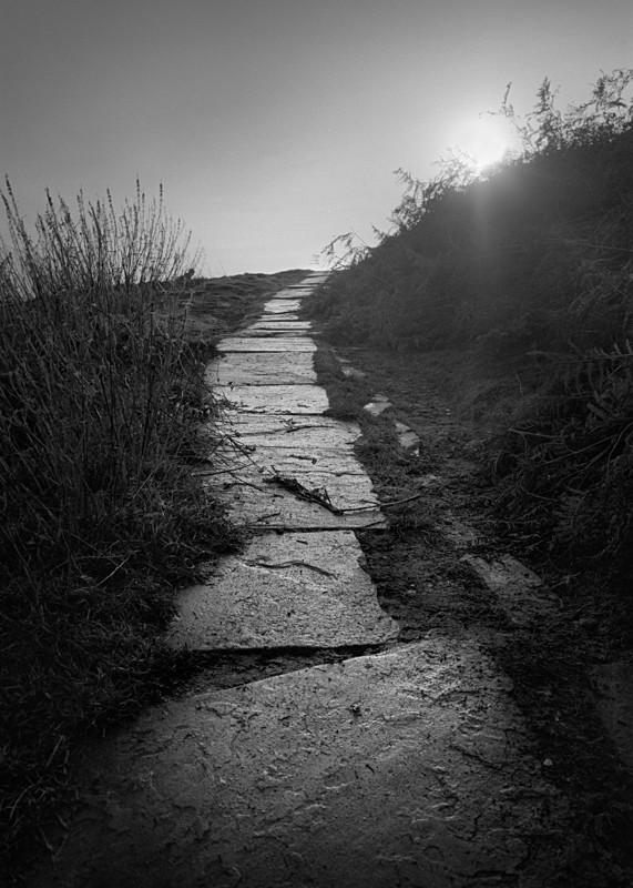 Path to Cow and Calf, Ilkley - Landscapes
