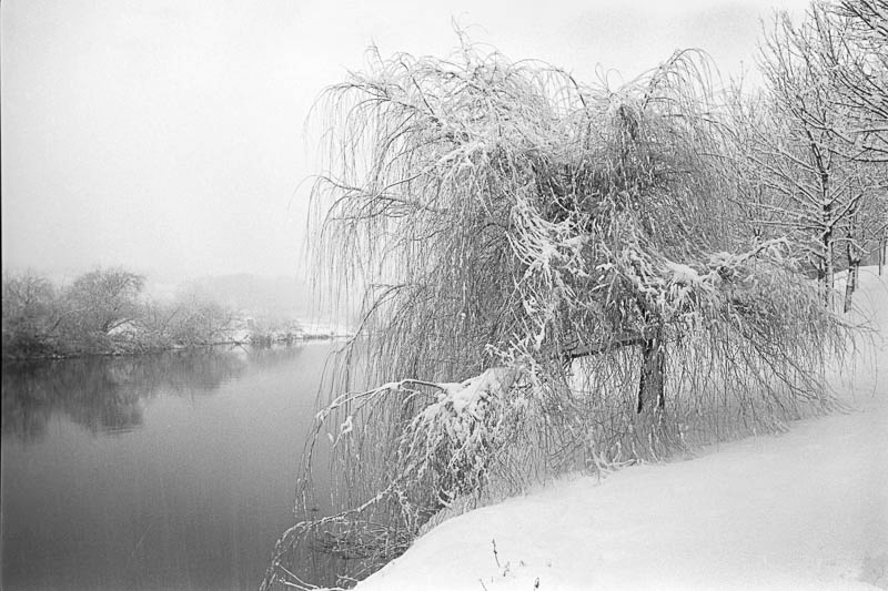 Winter on the River Aire - Landscapes