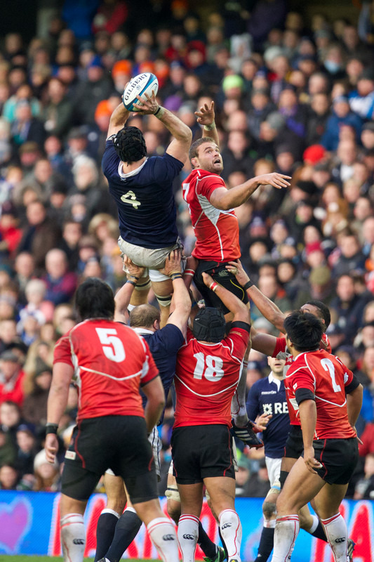 _Q1R5116 - Scotland 42-17 Japan Autumn Tests 2013