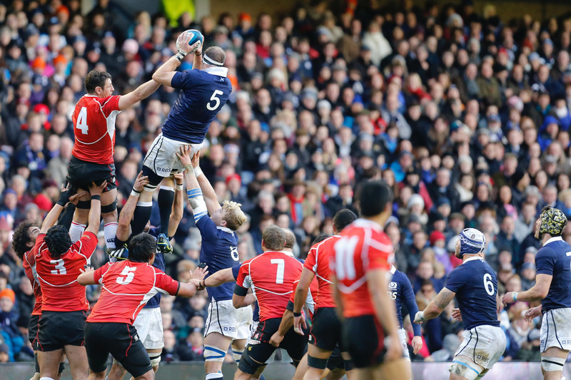 _Q1R4260 - Scotland 42-17 Japan Autumn Tests 2013