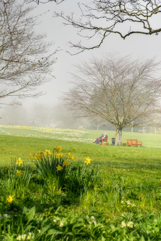 z3389 Spring Mist at Big Mead, Shanklin - Sandown, Shanklin, Luccombe and Wroxall