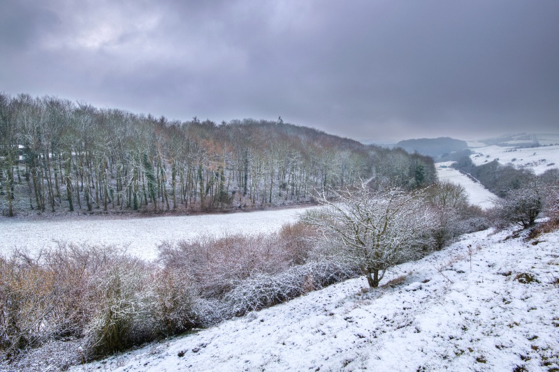 z2630 Morning Snowfall, Knightson - The Inner Island inc Newport & Godshill