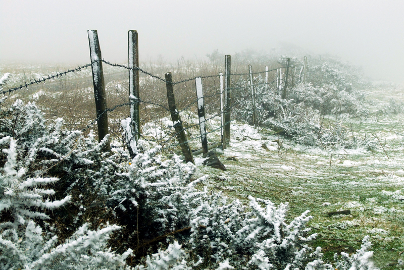 154 St Catherines Down in the Snow - Ventnor to St Catherine's inc Bonchurch, Whitwell & the Undercliff