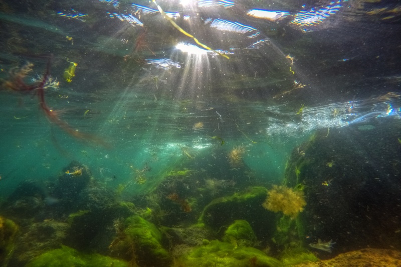 z2745 Underwater Tranquility, Orchard Bay - Ventnor to St Catherine's inc Bonchurch, Whitwell & the Undercliff
