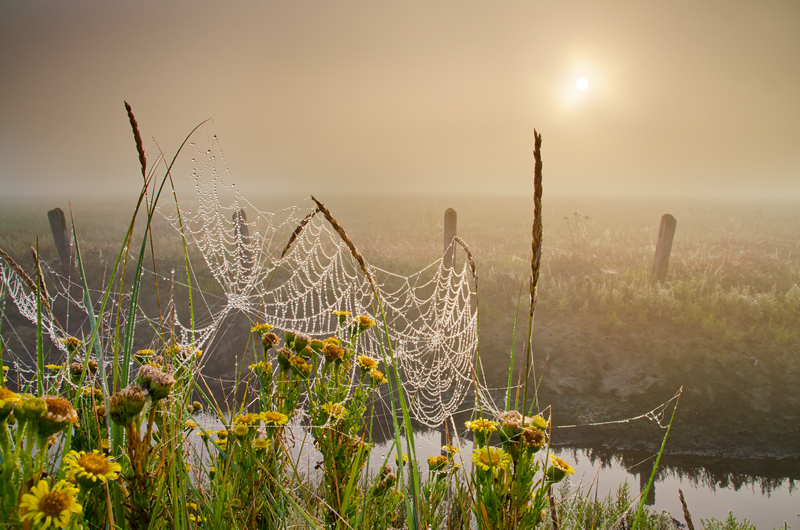 z2121 Mist over Newtown Marsh - Yarmouth to West Cowes inc Newtown