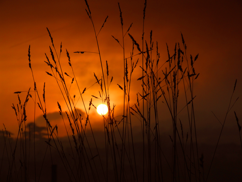 775 Countryside Sunset, Whitwell - Ventnor to St Catherine's inc Bonchurch, Whitwell & the Undercliff
