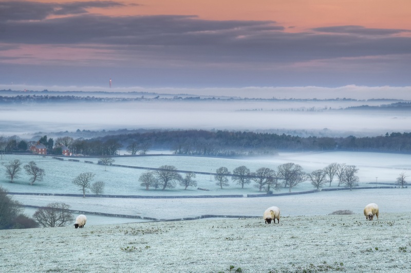 z2591 Frozen Mist over Ashey at Dawn - East Cowes to Ryde inc Haventstreet, Ashey, Wooton & Binstead