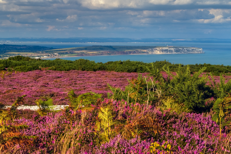 z1904 Culver View from Ventnor Down - Ventnor to St Catherine's inc Bonchurch, Whitwell & the Undercliff