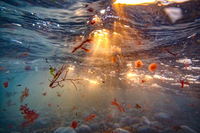 z3782 Water Beams, Freshwater Bay - The