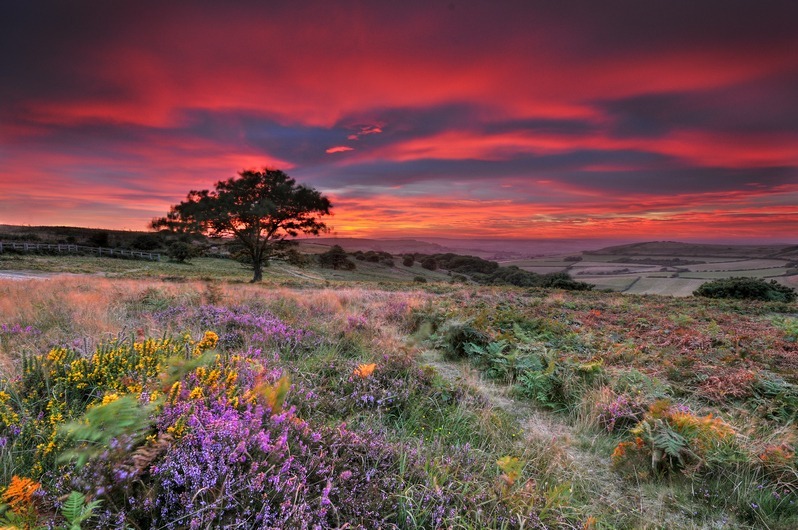 z2261 Autumnal Sunset, Ventnor Down - Ventnor to St Catherine's inc Bonchurch, Whitwell & the Undercliff