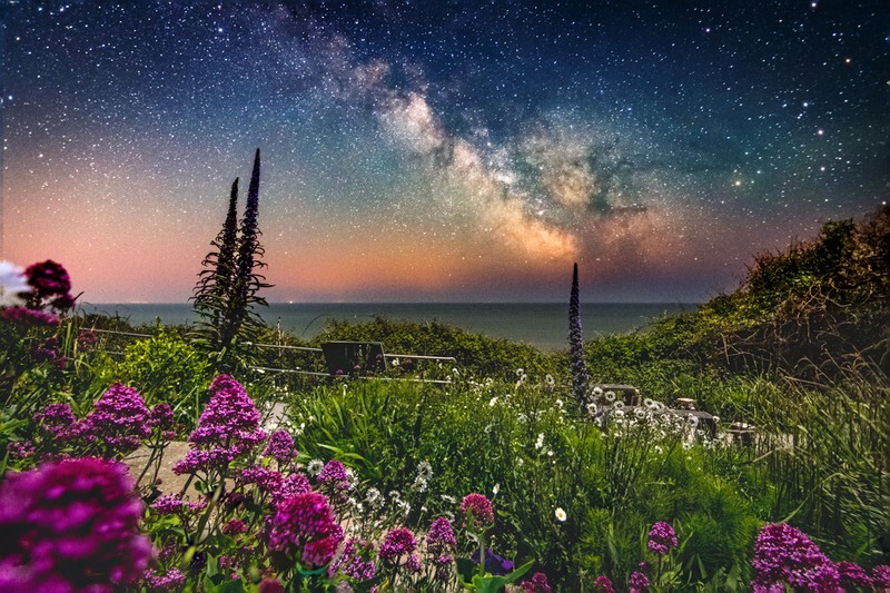 z3798 Midnight Stars, Ventnor - Ventnor to St Catherine's inc Bonchurch, Whitwell & the Undercliff