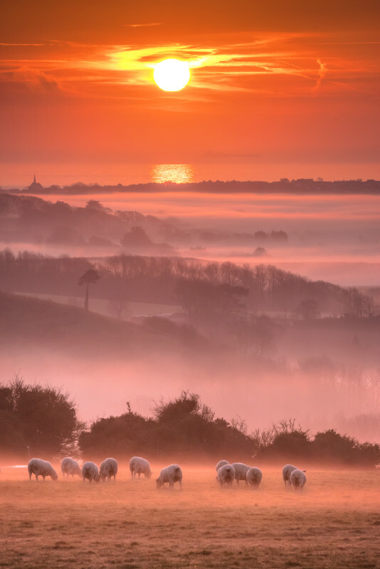 z3586 Sunrise view from Nunwell Down - Sandown, Shanklin, Luccombe and Wroxall