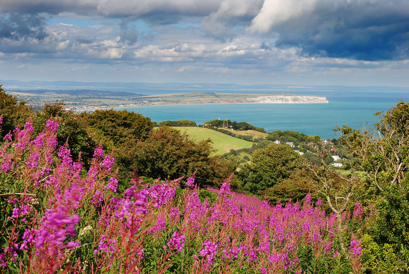 z2134 A Summetime View, Ventnor Down - Ventnor to St Catherine's inc Bonchurch, Whitwell & the Undercliff