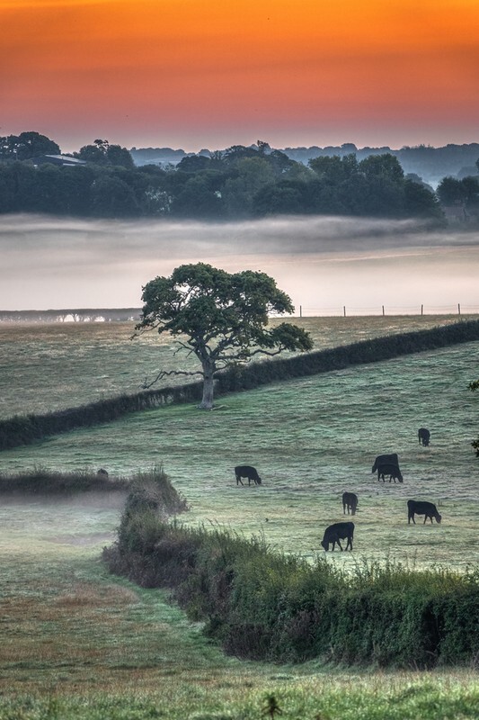 z4107 Misty Sunrise, Nunwell - East Cowes to Ryde inc Haventstreet, Ashey, Wooton & Binstead