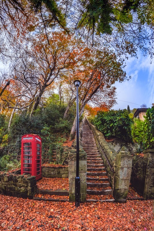 z4423 Autumnal Steps Bonchurch - Latest images