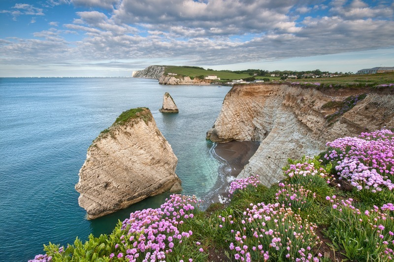 z2194 Freshwater Bay - Freshwater Bay to Colwell Bay inc the Needles
