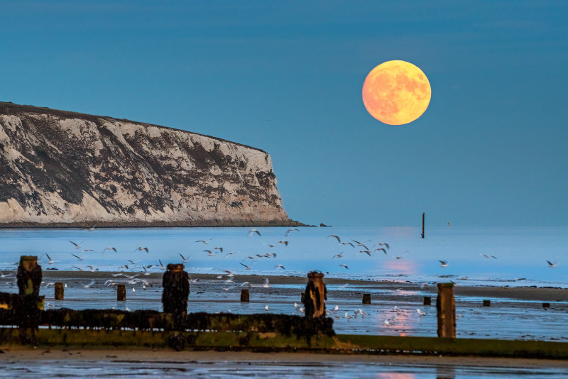 z2972 Supermoon over Sandown Bay - Sandown, Shanklin, Luccombe and Wroxall