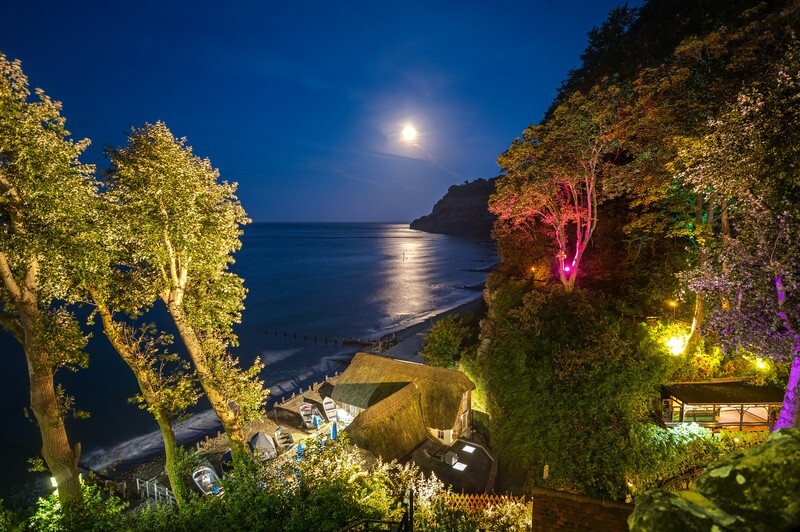 z4201 Moonrise over Shanklin Chine - Sandown, Shanklin, Luccombe and Wroxall