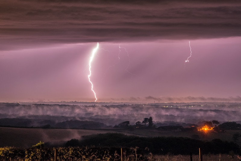 z2921Purple Storm, Ashey Down - The