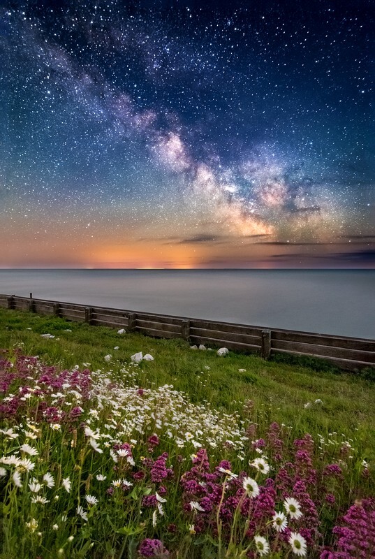 z4281 Valerian and Daisies under the Milky Way, Ventnor - Ventnor to St Catherine's inc Bonchurch, Whitwell & the Undercliff