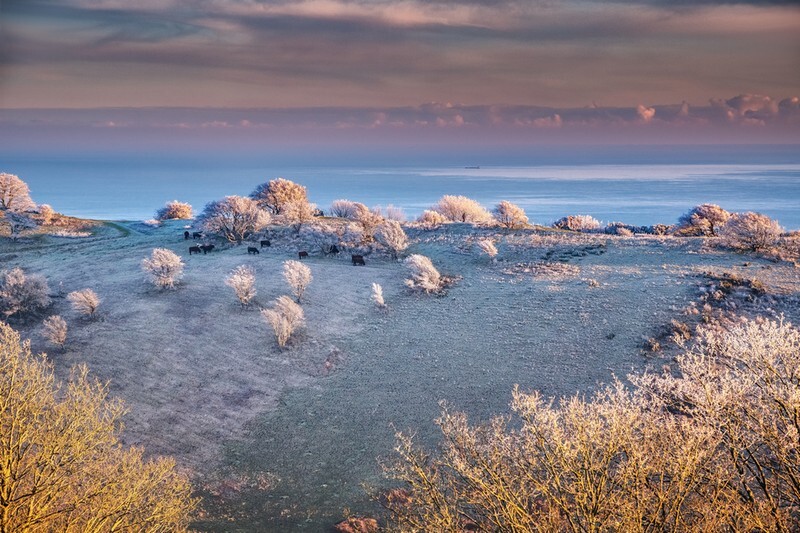 z3968 Frozen landscape, St Boniface Down - Ventnor to St Catherine's inc Bonchurch, Whitwell & the Undercliff