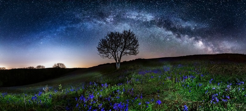 z3774 Bluebells under the Milky way, Ventnor Down - Ventnor to St Catherine's inc Bonchurch, Whitwell & the Undercliff