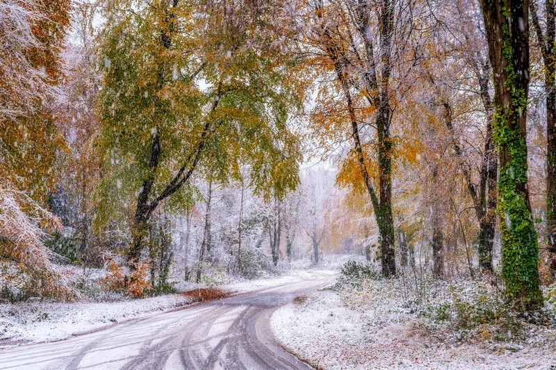 z4323 Autumn meets Winter, Brighstone Forest - Blackgang to Compton inc Brighstone, Shorwell & West Wight