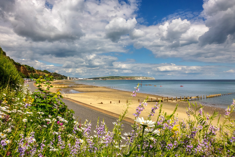 z2942 Summer Day on Lake Beach - Sandown, Shanklin, Luccombe and Wroxall