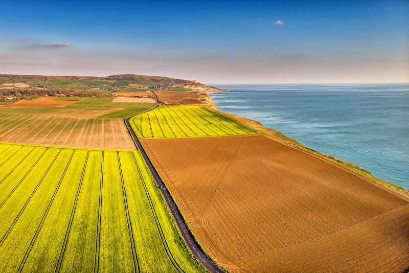 z3394 Colours of Spring, Atherfield - 'Aerial Visions Photography' showing the beautiful IOW from the air